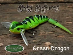 Barambah Baby Bidjiwong 145mm Lizard Surface Walker Cod Lure -Railblaza Sale Store Barambah Baby Bidjiwong 145mm Lizard Surface Walker Cod Lure Green Dragon