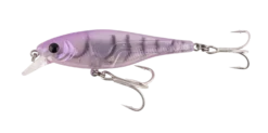 Berkley Pro Tech Bazz Bait Shallow Hard Body Lure 80mm -Railblaza Sale Store BerkleyProTechBazzBaitShallowHardBody PinkShrimp