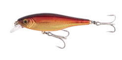 Berkley Pro Tech Bazz Bait Shallow Hard Body Lure 80mm -Railblaza Sale Store BerkleyProTechBazzBaitShallowHardBody RedShad