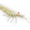 Chasebaits Curly Prawn Soft Plastic Lure 60