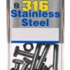 Champion Stainless Steel 316 Screws And Nuts Set