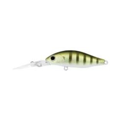 Daiwa Infeet Spike Hard Body Lure 44MR 25 Daiwa Infeet Spike Hard Body Lure 44MR -Railblaza Sale Store DaiwaInfeetSpikeHardBody44 SunnyGill