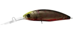 Daiwa Infeet Spike Hard Body Lure 53SP 34 Daiwa Infeet Spike Hard Body Lure 53SP -Railblaza Sale Store DaiwaInfeetSpikeHardBodyLure53SP SujiBerry