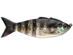 Lunkerhunt GAMBIT Soft Plastic Swimbait Lure 10 Lunkerhunt GAMBIT Soft Plastic Swimbait Lure -Railblaza Sale Store Lunkerhunt GAMBIT Soft Plastic Swimbait Gilly