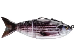 Lunkerhunt GAMBIT Soft Plastic Swimbait Lure 12 Lunkerhunt GAMBIT Soft Plastic Swimbait Lure -Railblaza Sale Store Lunkerhunt GAMBIT Soft Plastic Swimbait Runner