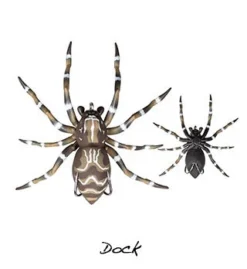 Lunkerhunt Phantom Spider Surface Walker Lure -Railblaza Sale Store Lunkerhunt Phantom Spider Walker Lure Dock