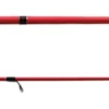 NS Black Hole KN Spin Rod