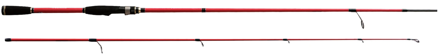 NS Black Hole KN Spin Rod 1 NS Black Hole KN Spin Rod