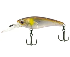 Zerek Tango Shad 1M-Depth 50mm Hard Body Lure 18 Zerek Tango Shad 1M-Depth 50mm Hard Body Lure -Railblaza Sale Store Zerek Tango Shad 1 3m Diver AYU