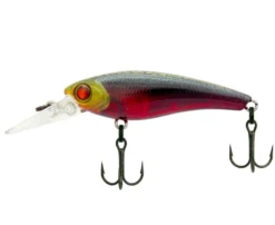 Zerek Tango Shad 1M-Depth 50mm Hard Body Lure 12 Zerek Tango Shad 1M-Depth 50mm Hard Body Lure -Railblaza Sale Store Zerek Tango Shad 1 3m Diver RD