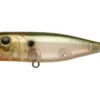 Lucky Craft G-Splash 65mm Popper Fishing Lure